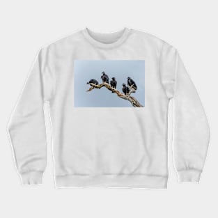 Black Vultures Crewneck Sweatshirt